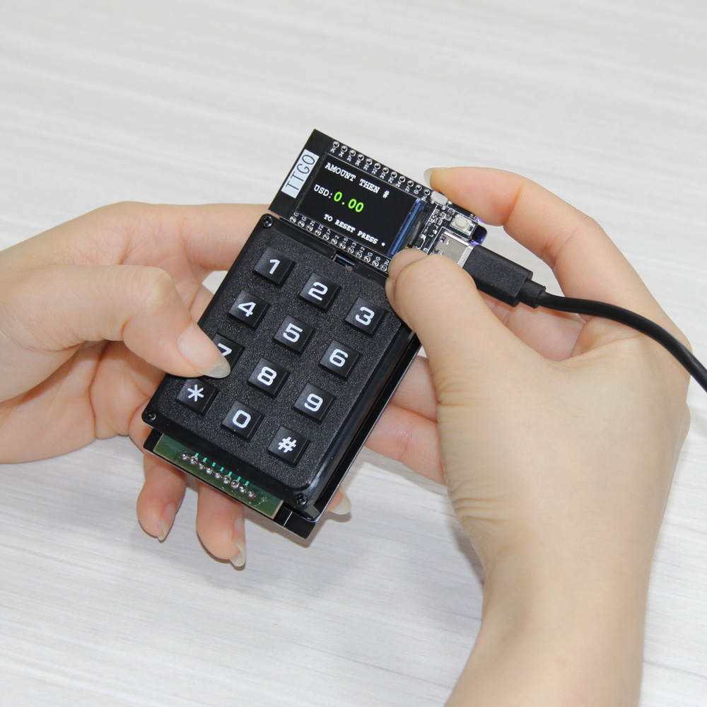 LILYGO®TTGO T-Display Tastatur – Ttgo Tdisplay Bewertung und Preis